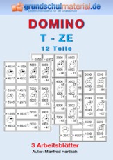 Domino_T-ZE_12_sw.pdf